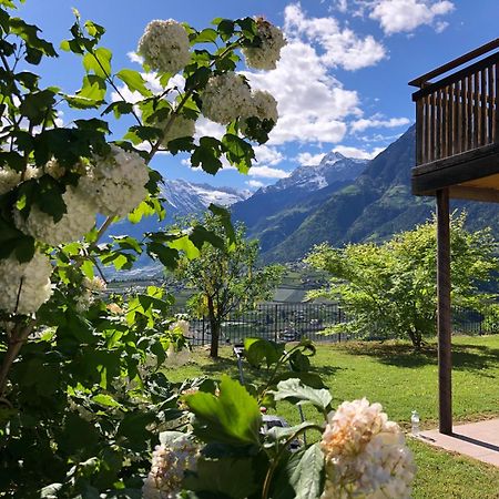 Der Blaue Reiter Aparthotel Schenna Exteriör bild