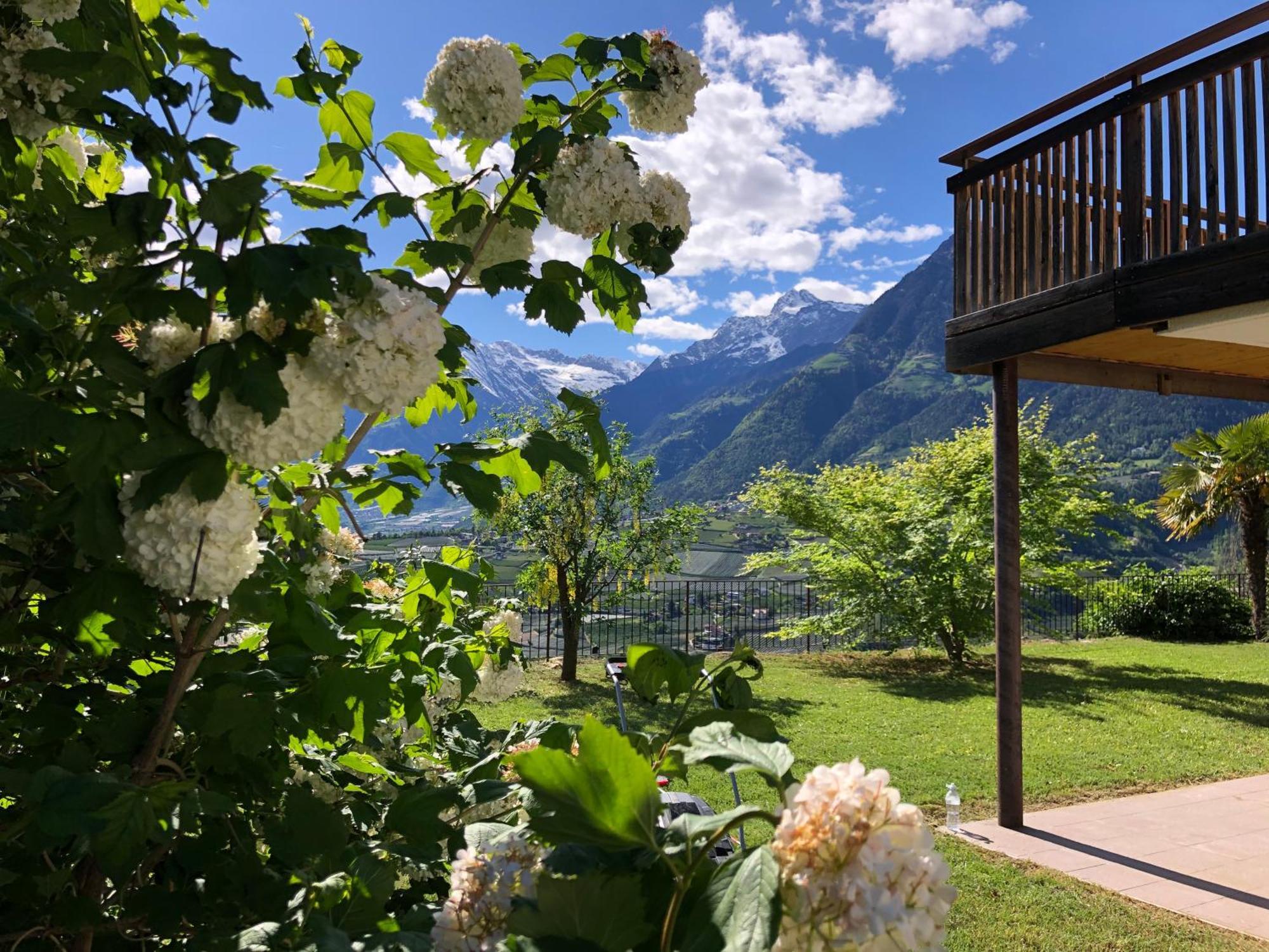 Der Blaue Reiter Aparthotel Schenna Exteriör bild
